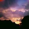 balqis_tiber7