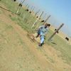 percivalthulani