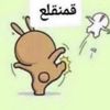 abdullahah834