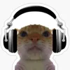 climmusic