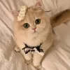 mamimami_fffff