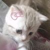 qizx_8