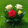 user65493801021702