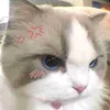 destinymy6