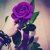 user1299942566078