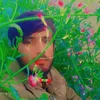 user4460590157372