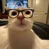 azmi_dev8