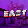 easy_so21