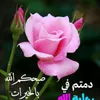 user7847385061881