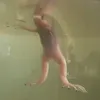 yavyalaya