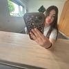 arianna.l.k