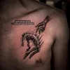 dana.kalare7