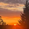 amanda.wlg