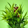 md.nur.hossain5762