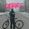 tgk_wsps