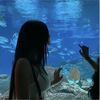 veve_0802