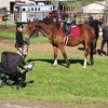 horselover20082
