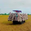 tuanpham929