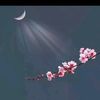 moonhappily