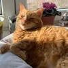 kristyna_0.0