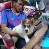 user8007700112167