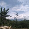 anugerahrahayucahyani18