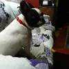 marisacuestaalcan