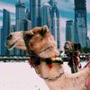 abo_ameer188