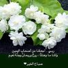 user3273619393460