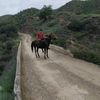alyarov_595