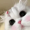_dquuynh