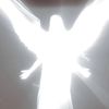dianami_1
