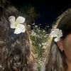 ameena___ll