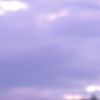 lilyy_smiths_