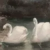taezo_o7