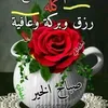 skon.youssra