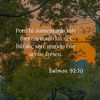 cristo.somos.vecendores