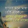 shahinislamnobel78