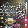 nourhassan744