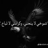 abun9009