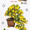 thienbonsaitv86