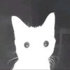 giii_nastar