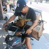 hendradony