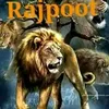 umarirajpoot4