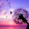 vni_toan3