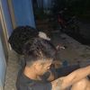 gord_xd