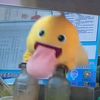 nixieee_pocoyoo