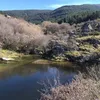 nachocem