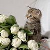 nasme_23