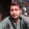 user4260527061262